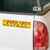 猫バンパーステッカーを見た バンパーステッカー (トラック上)