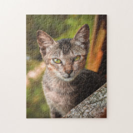 猫パズル猫写真動物写真猫 ジグソーパズル