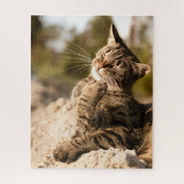 猫パズル猫写真動物写真猫 ジグソーパズル