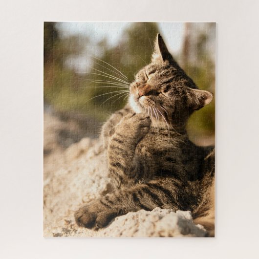 猫パズル猫写真動物写真猫 ジグソーパズル (縦)