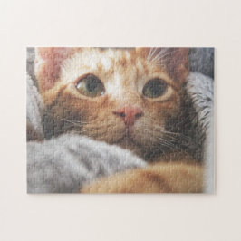 猫パズル猫写真動物写真猫 ジグソーパズル