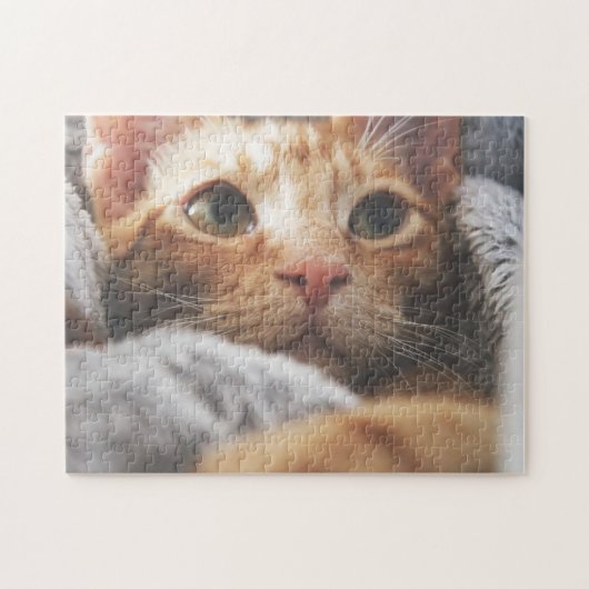 猫パズル猫写真動物写真猫 ジグソーパズル (横)