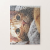 猫パズル猫写真動物写真猫 ジグソーパズル (縦)