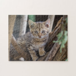 猫パズル猫写真動物写真猫 ジグソーパズル