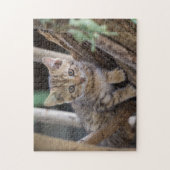猫パズル猫写真動物写真猫 ジグソーパズル (縦)