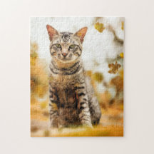 猫パズル猫写真動物写真猫