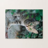 猫パズル猫写真動物写真猫 ジグソーパズル (横)