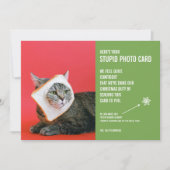 猫パンおもしろいマスクのクリスマスバカ写真カード シーズンカード (正面)