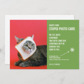 猫パンおもしろいマスクのクリスマスバカ写真カード シーズンカード (正面/裏面)