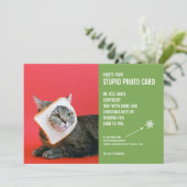 猫パンおもしろいマスクのクリスマスバカ写真カード シーズンカード (スタンド正面)