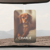 猫パーソナライズされた犬のペットの写真と名前 カーエアーフレッシュナー