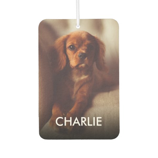 猫パーソナライズされた犬のペットの写真と名前 カーエアーフレッシュナー (正面)