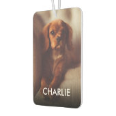 猫パーソナライズされた犬のペットの写真と名前 カーエアーフレッシュナー (左)