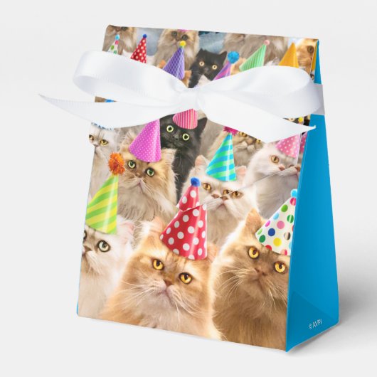 猫パーティー フェイバーボックス (正面サイド)