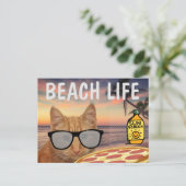 猫ビーチおもしろいライフ葉書 ポストカード (スタンド正面)