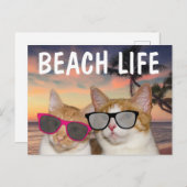 猫ビーチ「猫ビーチ生活はがき」 ポストカード (正面/裏面)