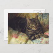 猫ファインアート写真はがき ポストカード (正面/裏面)