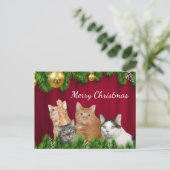 猫ファミリーのクリスマス シーズンポストカード (スタンド正面)