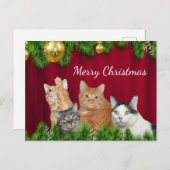 猫ファミリーのクリスマス シーズンポストカード (正面/裏面)