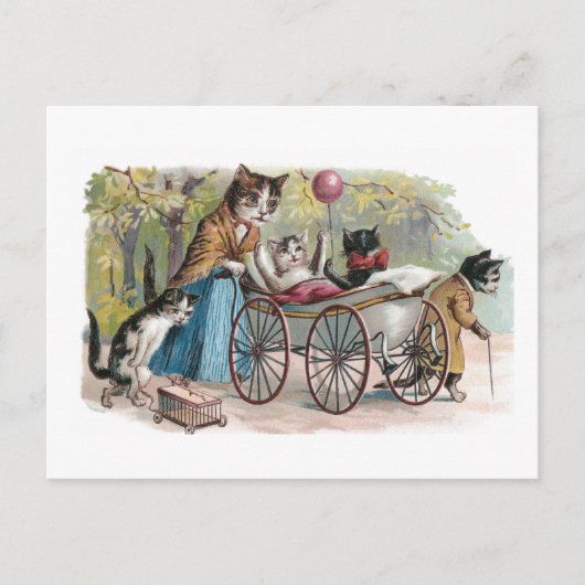 猫ファミリー向け外出 ポストカード (正面)