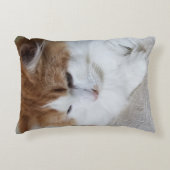 猫ファンシー子猫 アクセントクッション (正面)