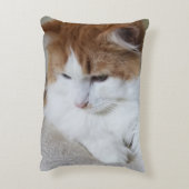 猫ファンシー子猫 アクセントクッション (裏面(縦))