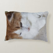 猫ファンシー子猫 アクセントクッション (裏面)