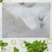 猫ファンシー子猫 キッチンタオル (折り畳み)