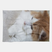 猫ファンシー子猫 キッチンタオル (横)