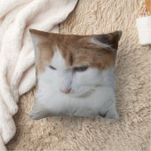 猫ファンシー子猫 クッション (ブランケット)