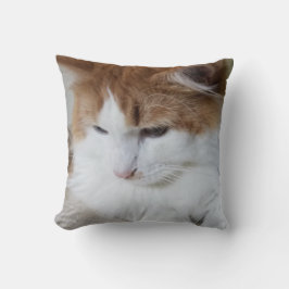 猫ファンシー子猫 クッション