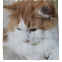 猫ファンシー子猫 シャワーカーテン