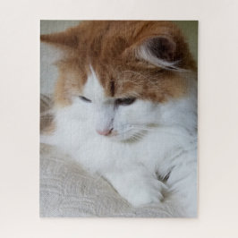 猫ファンシー子猫 ジグソーパズル