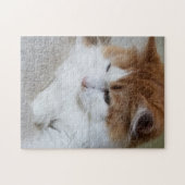 猫ファンシー子猫 ジグソーパズル (横)