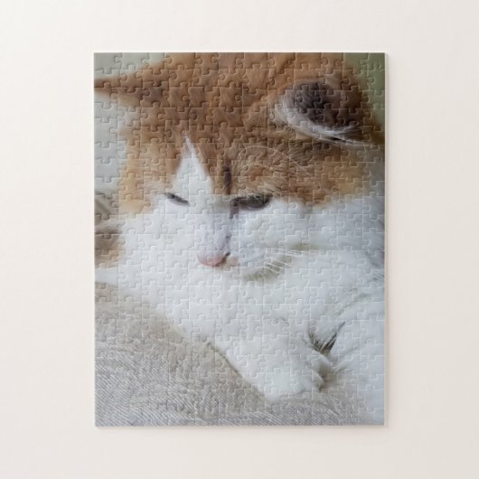 猫ファンシー子猫 ジグソーパズル (縦)