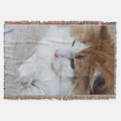 猫ファンシー子猫 スローブランケット (正面)