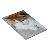 猫ファンシー子猫 ノートブック (右側)