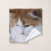 猫ファンシー子猫 バスタオルセット (ウォッシュタオル)