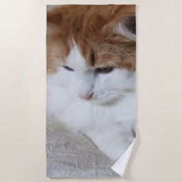 猫ファンシー子猫 ビーチタオル