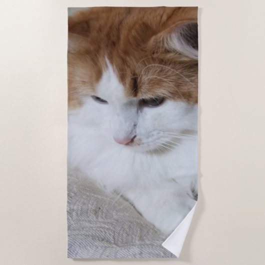 猫ファンシー子猫 ビーチタオル (正面)
