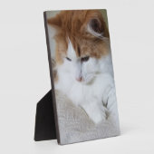 猫ファンシー子猫 フォトプラーク (側面)