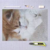 猫ファンシー子猫 薄葉紙 (クラフト)