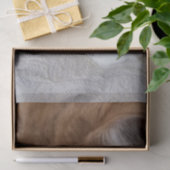 猫ファンシー子猫 薄葉紙 (ギフト)