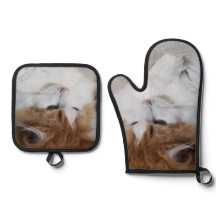 猫ファンシー子猫