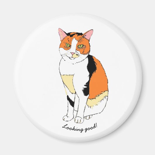 猫ファンシー磁石 マグネット (正面)