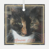 猫フォトエレガント金ゴールドカスタムトリムガラスオーナメント ガラスオーナメント (正面)