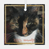 猫フォトエレガント金ゴールドカスタムトリムガラスオーナメント ガラスオーナメント (裏面)