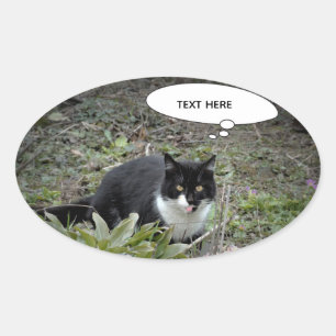 猫フォトカスタム文字シール 楕円形シール