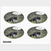 猫フォトカスタム文字シール 楕円形シール (シート)