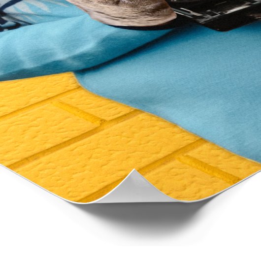 猫フォトグラファーのヴィンテージセーター予測できな ポスター (角)